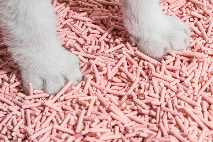 Tofu Cat Litter Production Line